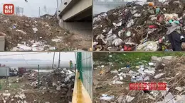 辽宁营口部分乡村河道沦为垃圾场 总台曝光乡村生态污染乱象