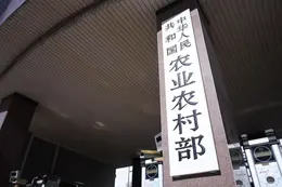 农业农村部组织开展我国台湾岛以东管辖海域渔业资源调查