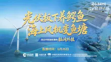 光伏板下养鳄鱼，海上风机变鱼塘——直击中国新能源的脑洞外挂