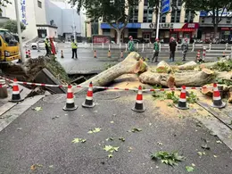 江苏镇江：持续降雨引发堵路毁管险情，住建部门连夜抢修16小时保畅通