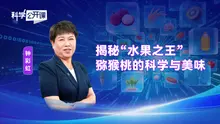 《科学公开课》揭秘“水果之王”猕猴桃的科学与美味