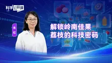 《科学公开课》解锁岭南佳果——荔枝的科技密码