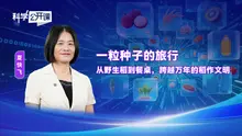 《科学公开课》一粒种子的旅行——从野生稻到餐桌，跨越万年的稻作文明